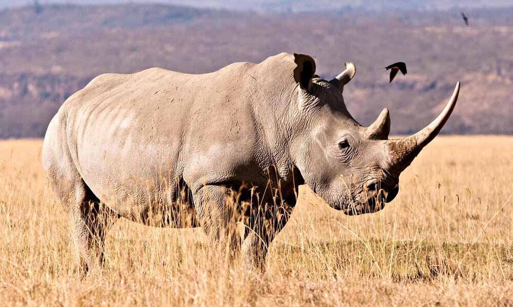 The number of national parks in Nepal has reached 13.