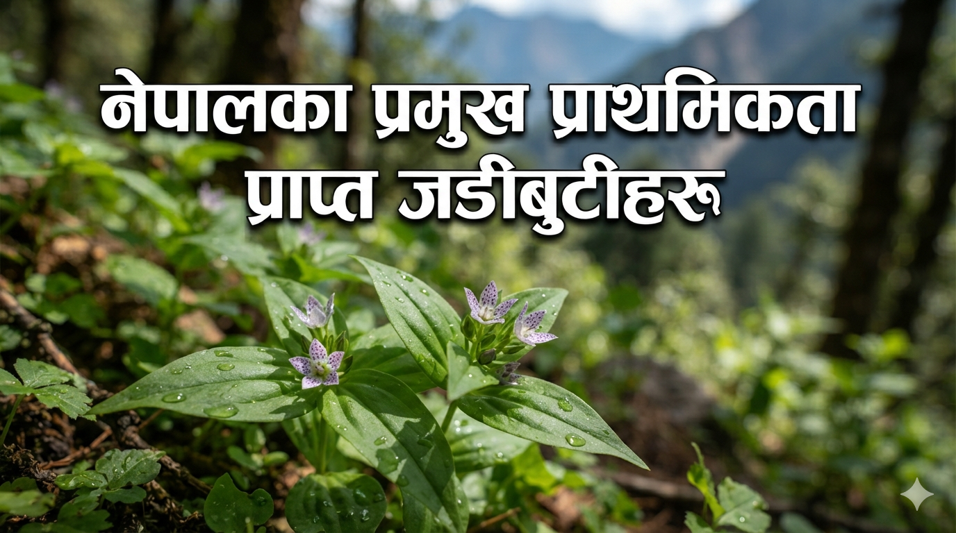 Nepal's major priority herbs